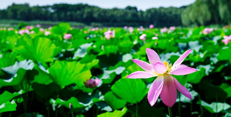 人生就是博·(中国) - 官方网站